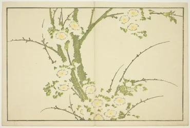 Blommor, från The Picture Book of Realistic Paintings of Hokusai (Hokusai shashin gafu)