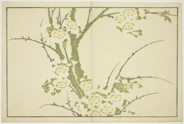 Blommor, från The Picture Book of Realistic Paintings of Hokusai (Hokusai shashin gafu), ca 1814 (träsnitt i färg (albumark))