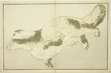 Fox, från The Picture Book of Realistic Paintings of Hokusai (Hokusai shashin gafu)