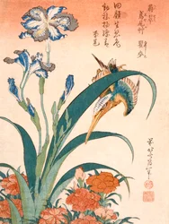 Kingfisher, Irises and Pinks, publicerad c1834.