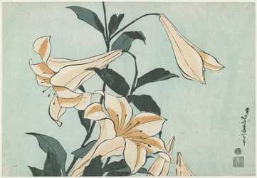 Liljor, ca 1832