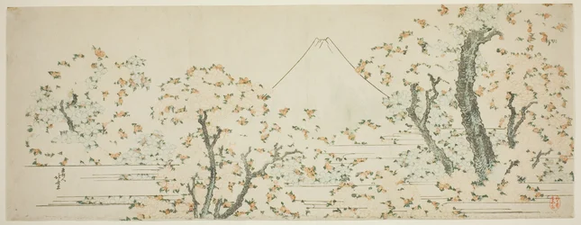 Mount Fuji med körsbärsträd i blom