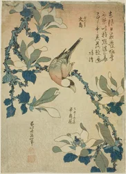 Paddy Bird and Magnolia Flowers (Buncho, kobushi no hana), från en namnlös serie med blommor och fåglar