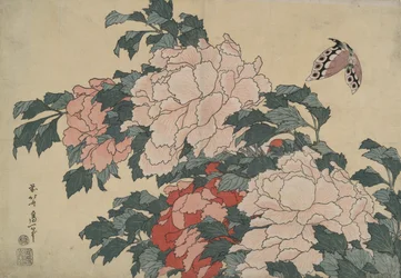 Pioner och fjäril, från en namnlös serie som heter Stora blommor