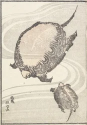 Sayama-ga-ike-dammen i Musashi-provinsen, 1817
