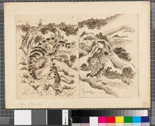 Scener från kriget mellan Japan och Korea, slutet av 1700-talet - första hälften av 1800-talet (tusch och lavering på papper)