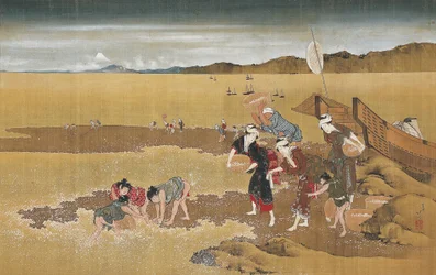 Shell Gathering