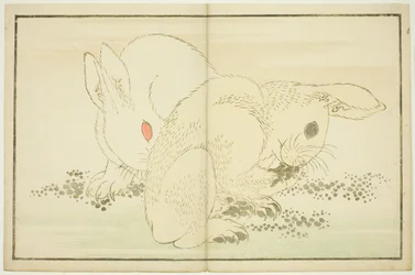 Två kaniner, från The Picture Book of Realistic Paintings of Hokusai (Hokusai shashin gafu)