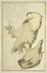 Two Waterfowl, från The Picture Book of Realistic Paintings of Hokusai (Hokusai shashin gafu)