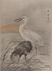 Tranor i Marsh, ca. 1887.