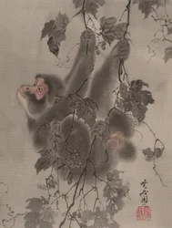 Monkey Hanging from Grapevines, ca. 1887.