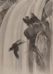 Svalor vid ett vattenfall, ca. 1887.