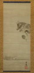 Tanuki Racoon Dog tittar på sin reflektion i vatten, sent 1800-tal.