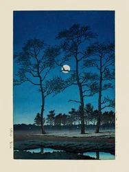 Vintermånen vid Toyamagahara (1931)