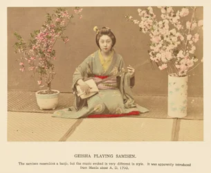 Geisha spelar samisen