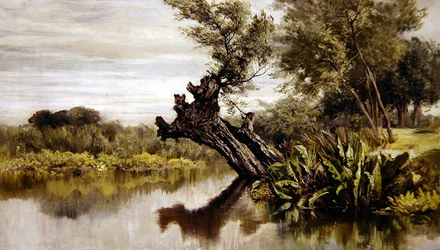 The Willow Tree (olja på duk)