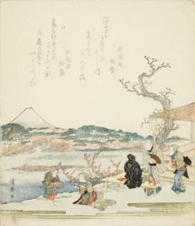 Utsikt över berget Fuji från ett tehus