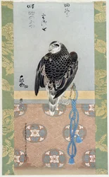 Falcon - sidenmålning av Itaya Keishiu