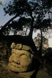 Gud N, Ceibaträd, tempel, Maya, Copan, Honduras, klassisk tid