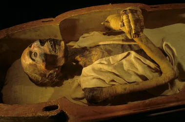 Ramses II:s mumie