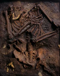 Neandertalare, målad gjutform, Kebaragrottan, Karmelberget, "Moshe", ca 60 000BP, Israel