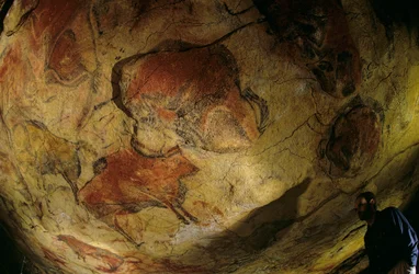 Bisonoxarnas galleri, Altamira-grottan, Spanien, 2000 (foto)