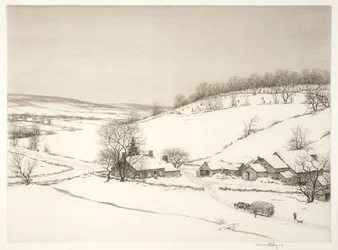 Julgranar