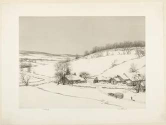 Julgranar