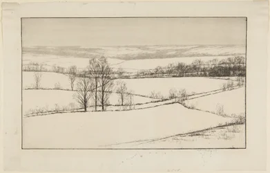 Snöfält