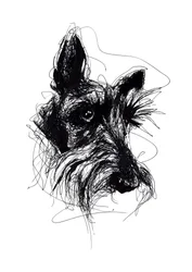 Uttrycksfull skiss av en skotsk terrier