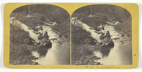 The Babbling Brook, 185575. Skapare: Kilburn Brothers, BW Kilburn.
