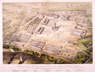 Metropolitan Cattle Market, London, 1855