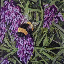 Buzz - humla på lavendel