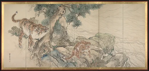 Tiger familj