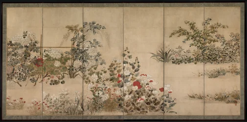 Blommor och gräs