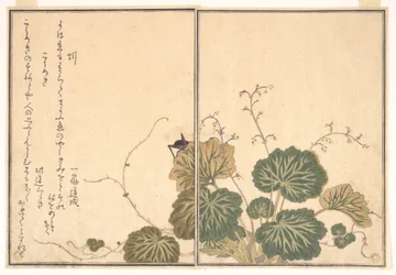 Daggmask (Mimizu); syrsa (Kōrogi), ur Bilderboken med krypande varelser (Ehon mushi erami)