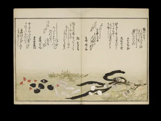 Shiohi no tsuto (Gåvor från Ebb Tide), känd som Shell Book, 1789 (träblock i färg)