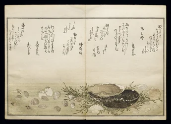 Shiohi no tsuto (Gåvor från Ebb Tide), känd som Shell Book, 1789 (träblock i färg)
