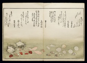 Shiohi no tsuto (Gåvor från Ebb Tide), känd som Shell Book, 1789 (träblock i färg)