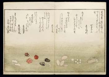 Shiohi no tsuto (Gåvor från Ebb Tide), känd som Shell Book, 1789 (träblock i färg)