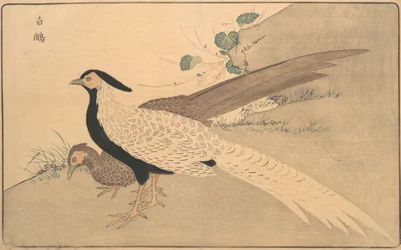 f Ae Hyun, 1789.