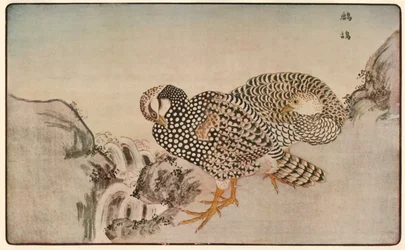 Fasaner, 1789, 1924.