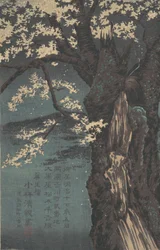 Körsbärsträd, daterat 1874.