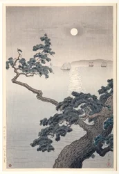 Akashi Beach, våren