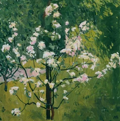 Blommande planta