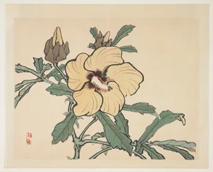 Blommande stockros