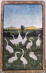 Häger på ett fält, ett av en uppsättning spelkort som visar scener av hövisk hökning, Upper Rhein Area, c.1440-45 (penna och bläck, wc) (se även 88300-04)