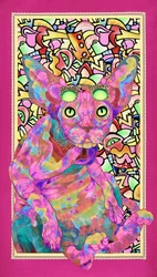 Psykedelisk sphynxkatt