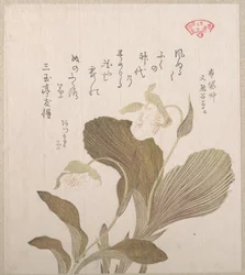 Hoteis blommor