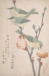 Japanska vita ögon på en gren av persikoträd,..., ca. 1805-10.
